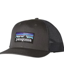 Patagonia P-6 Logo Trucker