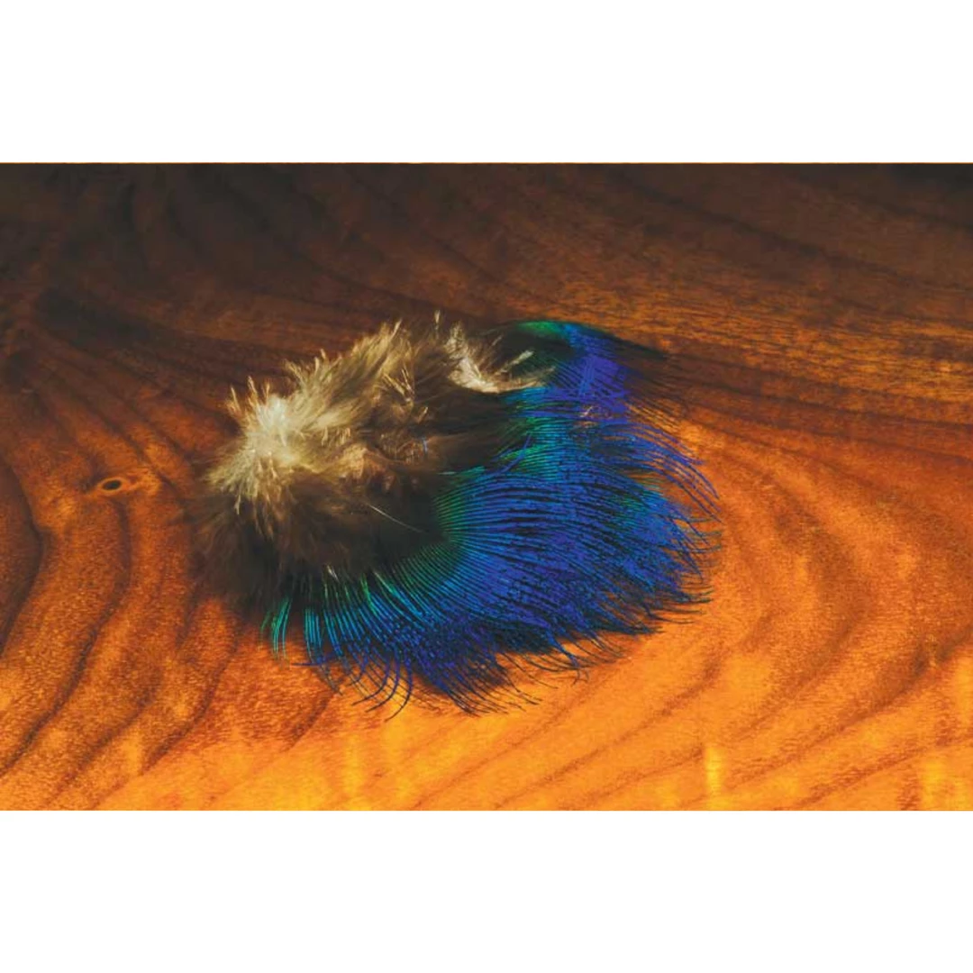 Fly Tying Hareline Dubbin Blue Peacock Feathers 1 Fly Tying Hareline Dubbin Blue Peacock Feathers