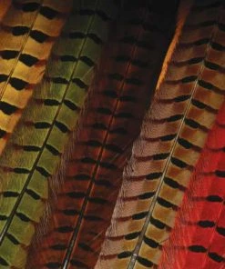 Fly Tying Hareline Dubbin Ringneck Pheasant Tail Feathers