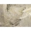 Hareline Dubbin - Big Pack Mallard Flank Feathers