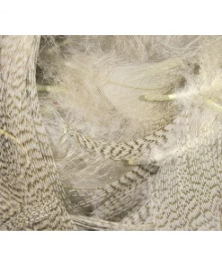 Hareline Dubbin - Big Pack Mallard Flank Feathers