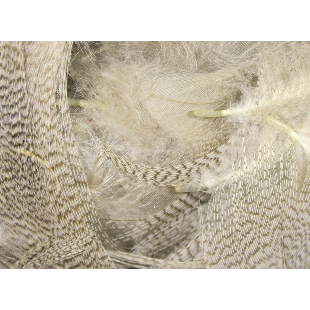 Hareline Dubbin - Big Pack Mallard Flank Feathers 1 Hareline Dubbin - Big Pack Mallard Flank Feathers