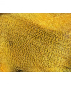 Hareline Dubbin - Big Pack Mallard Flank Feathers