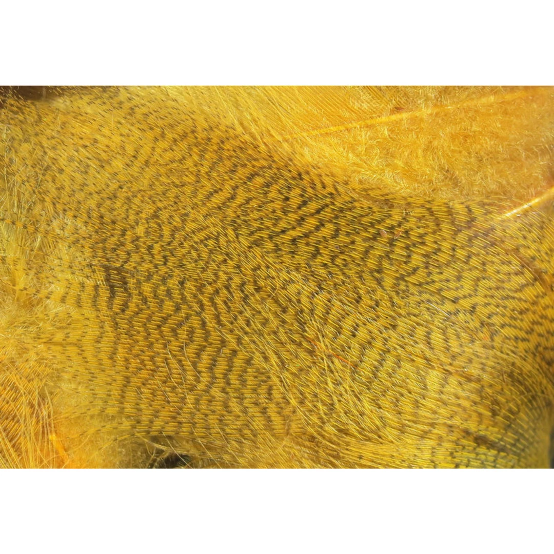 Hareline Dubbin - Big Pack Mallard Flank Feathers 2 Hareline Dubbin - Big Pack Mallard Flank Feathers
