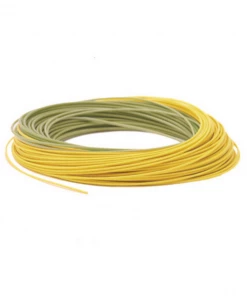 Fly Lines RIO Gold Premier