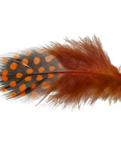 Hareline Dubbin Spirit River UV2 Large Eye Guinea 12 Hareline Dubbin Spirit River UV2 Large Eye Guinea