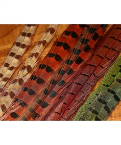 Hareline Dubbin Spirit River UV2 Ringneck Pheasant Tail