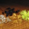 Hareline Dubbin CDC Oiler Puffs Fly Tying