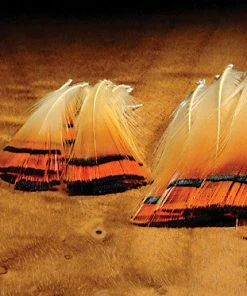 Fly Tying Hareline Dubbin Golden Pheasant Tippets