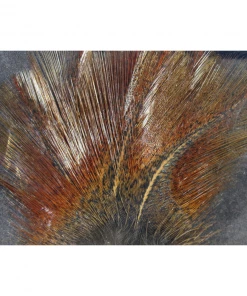 Feathers Hareline Dubbin Coq De Leon