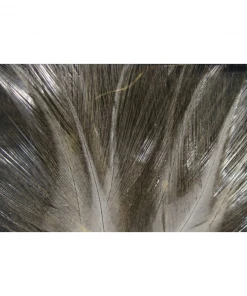 Feathers Hareline Dubbin Coq De Leon